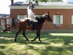 DSCN0834.jpg