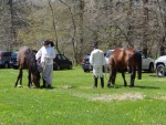 DSCN7748.jpg