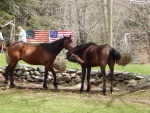 DSCN7852.jpg