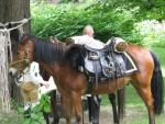Wethersfield Memeorial Day 2017 (41).JPG