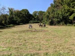 Putnam 300 (4).jpg