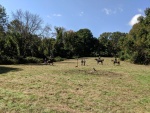Putnam 300 (36).jpg
