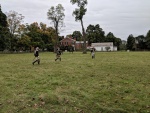 South Windosr Heritage Day (42).jpg