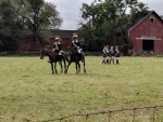 South Windosr Heritage Day (43).jpg