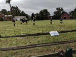 South Windosr Heritage Day (53).jpg