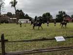 South Windosr Heritage Day (73).jpg
