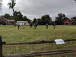 South Windosr Heritage Day (78).jpg