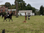 South Windosr Heritage Day (79).jpg
