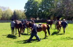 Horse Drill 2019 (1).JPG