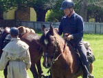 Horse Drill 2019 (3).JPG
