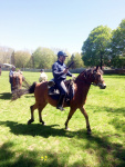 Horse Drill 2019 (5).JPG