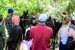 Wethersfield MemDay 2019 (26).jpg