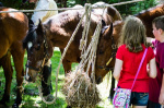 Wethersfield MemDay 2019 (58).jpg