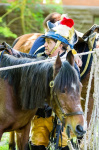 Wethersfield MemDay 2019 (98).jpg