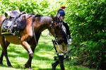Wethersfield MemDay 2019 (108).jpg