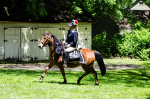 Wethersfield MemDay 2019 (109).jpg