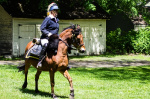 Wethersfield MemDay 2019 (111).jpg