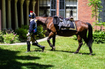 Wethersfield MemDay 2019 (114).jpg