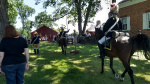 Norwalk 2019 (13).jpg