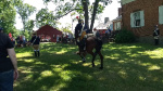 Norwalk 2019 (14).jpg