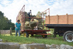Hay day 2019 (2).jpg