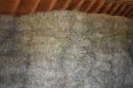 Hay day 2019 (10).jpg