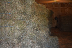 Hay day 2019 (11).jpg